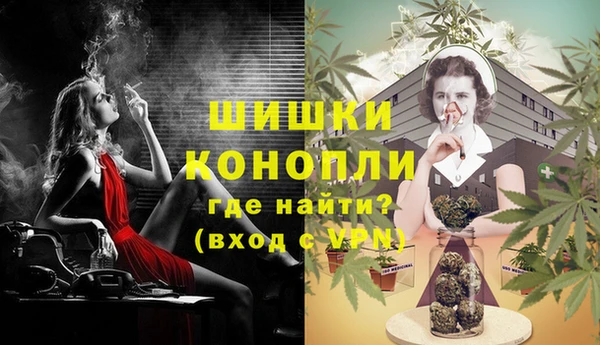 ПСИЛОЦИБИНОВЫЕ ГРИБЫ Пестово