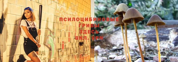 синтетический гашиш Алексин