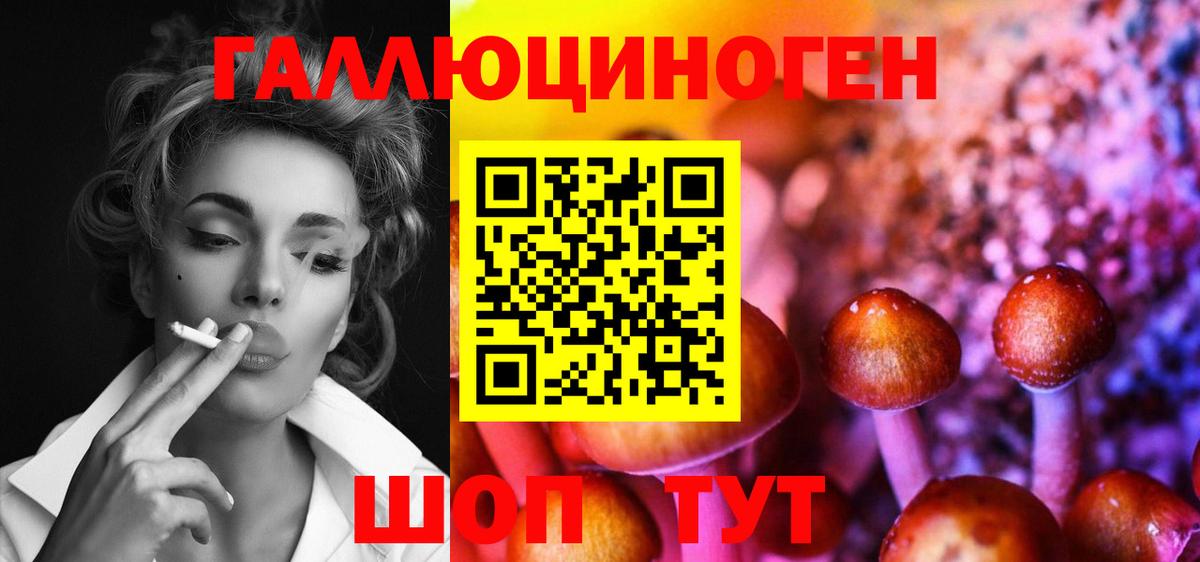 Псилоцибиновые грибы Magic Shrooms  Вход с VPN  Псилоцибиновые грибы прущие грибы  Качканар 